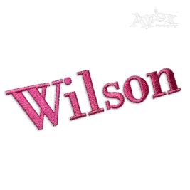 Georgia Type Machine Embroidery Fonts by Apex Letter Monogram