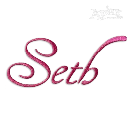 Marietta Script Machine Embroidery Fonts by Apex Design Lettering