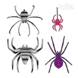 Spider Pack Machine Embroidery Designs Digitized by Apex All