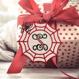 Spider Web Frame Embroidery Design