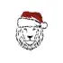 lion2.jpg