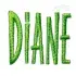 Adam Embroidery Design Fonts