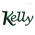Chicago Machine Embroidery Font by Apex Designs Letters