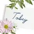Dakota Script Chain Stitch Embroidery Font