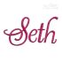 Diana Script Machine Embroidery Font - Apex Designs