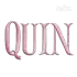 Fishtail Monogram Embroidery Font Quinn
