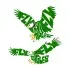 Fly Eagle SVG Cuttable Design