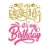 It's My Birthday SVG Cuttable Design