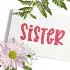 Juniper Script Embroidery Font