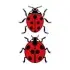 Ladybug SVG Cuttable Design