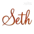 Magenta Machine Embroidery Fonts by Apex Designs