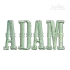 Adam Outlaw Western Embroidery Font