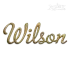 Pensacola Script Monogram Machine Embroidery Fonts by Apex
