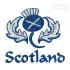Scotland Thistle Embroidery Design