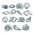 Seashells Pack SVG Cuttable Design